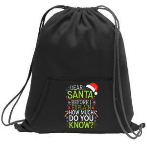 Dear Santa Before I Explain How Much Do You Know Xmas Sweatshirt Cinch Pack Bag