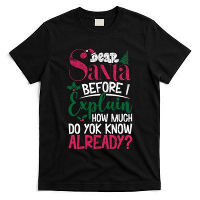 Dear Santa Before I Explain How Much Do You Know Already T-Shirt
