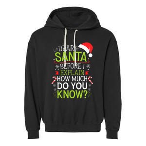 Dear Santa Before I Explain How Much Do You Know Xmas Garment-Dyed Fleece Hoodie