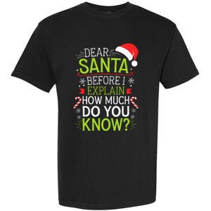 Dear Santa Before I Explain How Much Do You Know Xmas Garment-Dyed Heavyweight T-Shirt