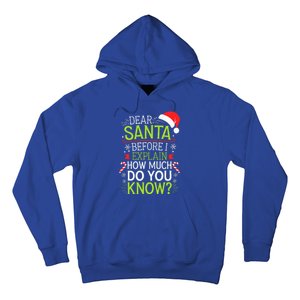 Dear Santa Before I Explain How Much Do You Know Xmas Hoodie