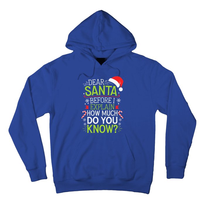 Dear Santa Before I Explain How Much Do You Know Xmas Hoodie