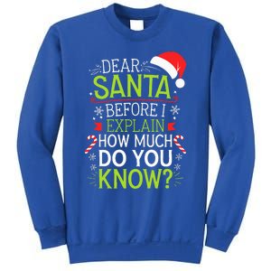 Dear Santa Before I Explain How Much Do You Know Xmas Sweatshirt