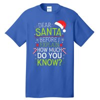 Dear Santa Before I Explain How Much Do You Know Xmas Tall T-Shirt