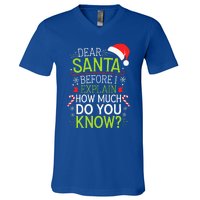 Dear Santa Before I Explain How Much Do You Know Xmas V-Neck T-Shirt