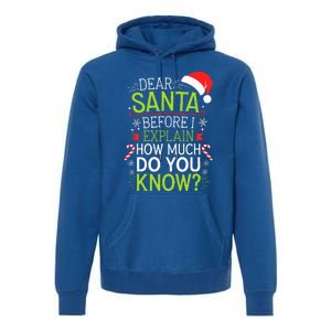 Dear Santa Before I Explain How Much Do You Know Xmas Premium Hoodie