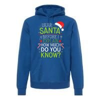 Dear Santa Before I Explain How Much Do You Know Xmas Premium Hoodie