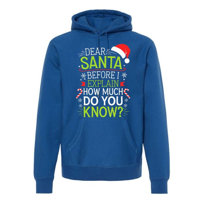 Dear Santa Before I Explain How Much Do You Know Xmas Premium Hoodie