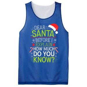 Dear Santa Before I Explain How Much Do You Know Xmas Mesh Reversible Basketball Jersey Tank