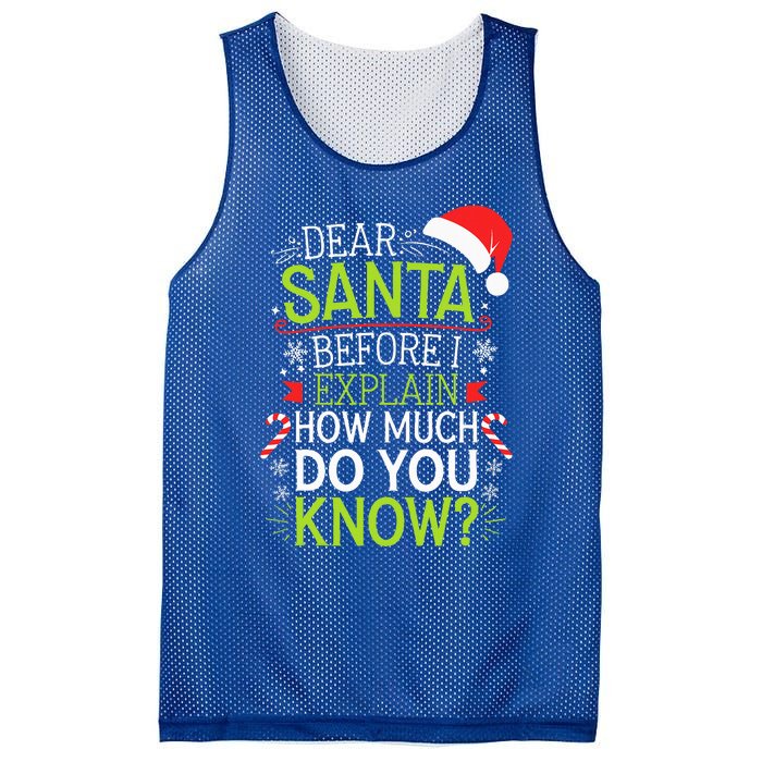 Dear Santa Before I Explain How Much Do You Know Xmas Mesh Reversible Basketball Jersey Tank