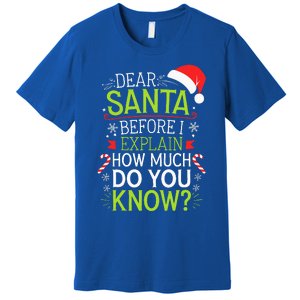 Dear Santa Before I Explain How Much Do You Know Xmas Premium T-Shirt