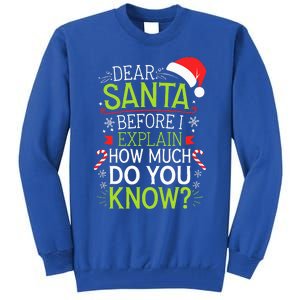 Dear Santa Before I Explain How Much Do You Know Xmas Tall Sweatshirt