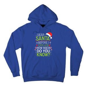 Dear Santa Before I Explain How Much Do You Know Xmas Tall Hoodie