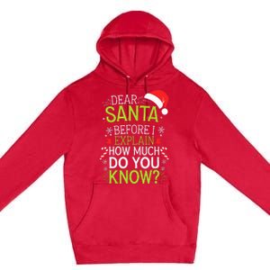 Dear Santa Before I Explain How Much Do You Know Xmas Premium Pullover Hoodie