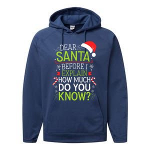 Dear Santa Before I Explain How Much Do You Know Xmas Performance Fleece Hoodie