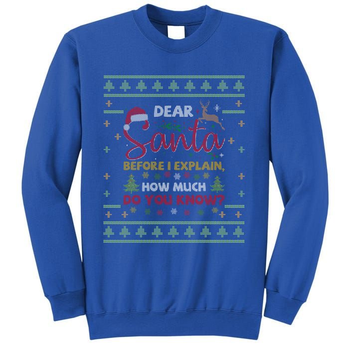 Dear Santa Before I Explain How Much Do You Know Christmas Cute Gift Sweatshirt