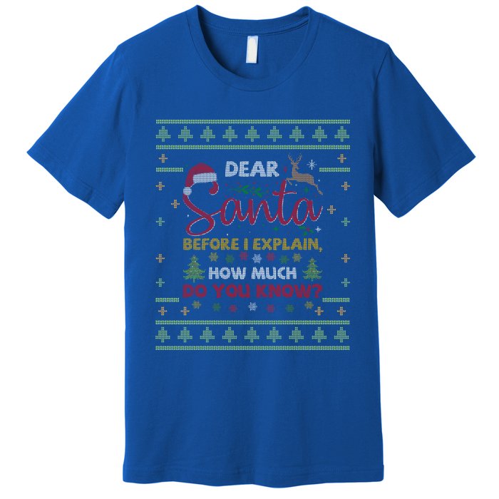 Dear Santa Before I Explain How Much Do You Know Christmas Cute Gift Premium T-Shirt