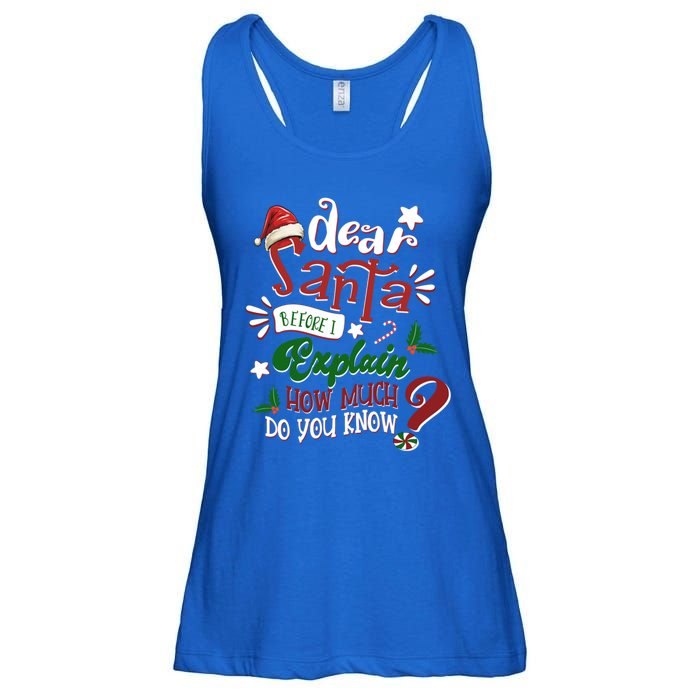 Dear Santa Before I Explain How Much Do You Know Christmas Gift Ladies Essential Flowy Tank