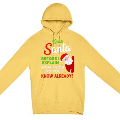 Dear Santa Before I Explain How Much Do You Know Already Tank Top Premium Pullover Hoodie