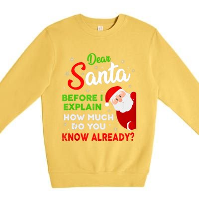 Dear Santa Before I Explain How Much Do You Know Already Tank Top Premium Crewneck Sweatshirt