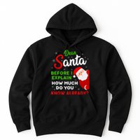 Dear Santa Before I Explain How Much Do You Know Already Tank Top Hoodie