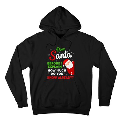 Dear Santa Before I Explain How Much Do You Know Already Tank Top Hoodie