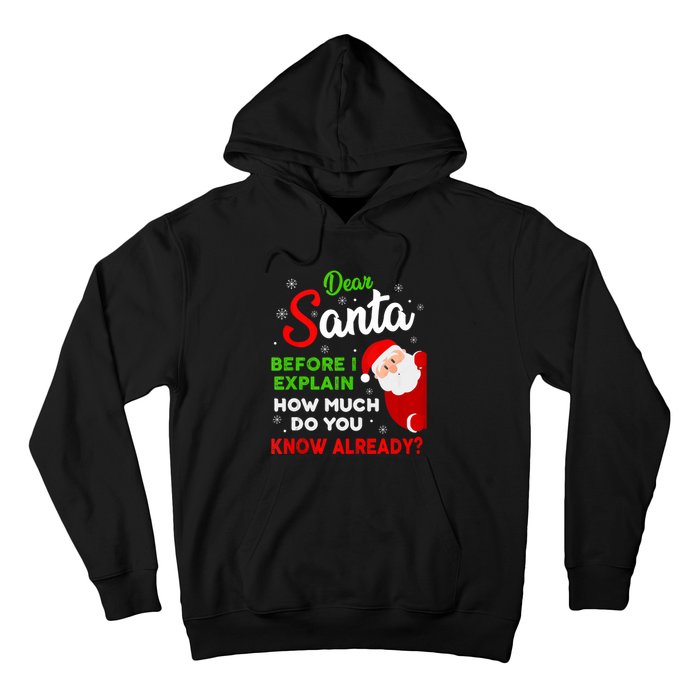 Dear Santa Before I Explain How Much Do You Know Already Tank Top Hoodie