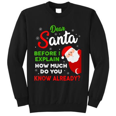 Dear Santa Before I Explain How Much Do You Know Already Tank Top Sweatshirt