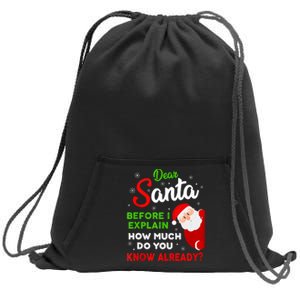 Dear Santa Before I Explain How Much Do You Know Already Tank Top Sweatshirt Cinch Pack Bag