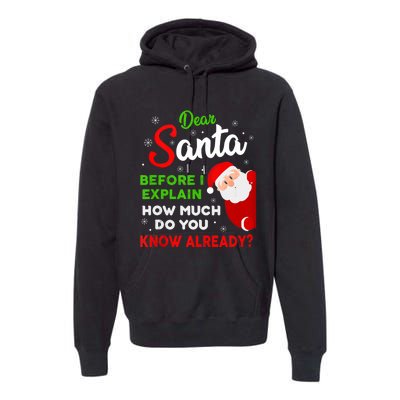 Dear Santa Before I Explain How Much Do You Know Already Tank Top Premium Hoodie