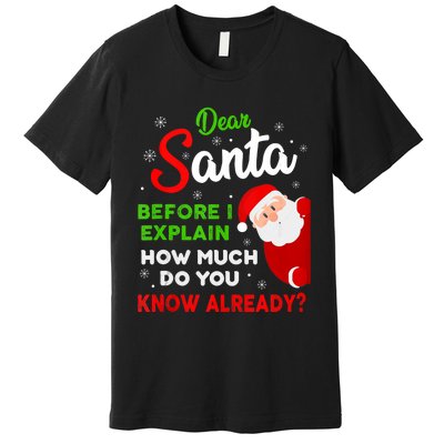 Dear Santa Before I Explain How Much Do You Know Already Tank Top Premium T-Shirt