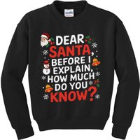 Dear Santa Before I Explain How Much Do You Know Funny Xmas Kids Sweatshirt