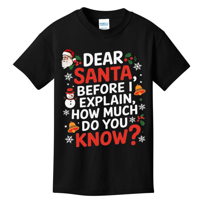 Dear Santa Before I Explain How Much Do You Know Funny Xmas Kids T-Shirt