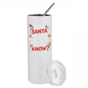 Dear Santa Before I Explain How Much Do You Know Funny Xmas Stainless Steel Tumbler