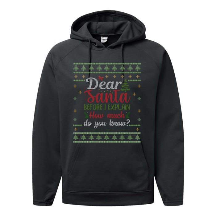 Dear Santa Before I Explain How Much Do You Know Christmas Performance Fleece Hoodie