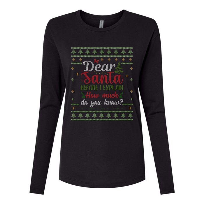 Dear Santa Before I Explain How Much Do You Know Christmas Womens Cotton Relaxed Long Sleeve T-Shirt