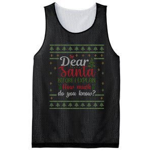 Dear Santa Before I Explain How Much Do You Know Christmas Mesh Reversible Basketball Jersey Tank