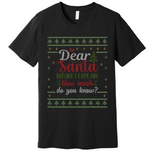 Dear Santa Before I Explain How Much Do You Know Christmas Premium T-Shirt