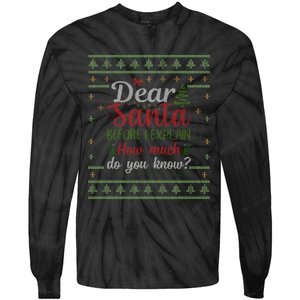 Dear Santa Before I Explain How Much Do You Know Christmas Tie-Dye Long Sleeve Shirt