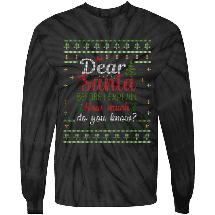 Dear Santa Before I Explain How Much Do You Know Christmas Tie-Dye Long Sleeve Shirt