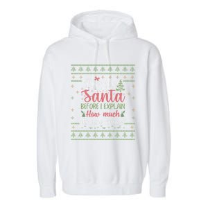 Dear Santa Before I Explain How Much Do You Know Christmas Garment-Dyed Fleece Hoodie