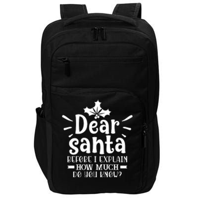 Dear Santa Before I Explain Impact Tech Backpack