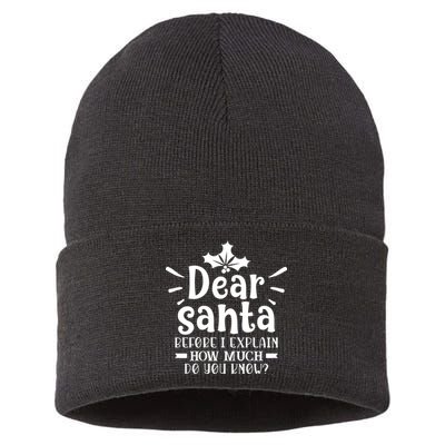 Dear Santa Before I Explain Sustainable Knit Beanie