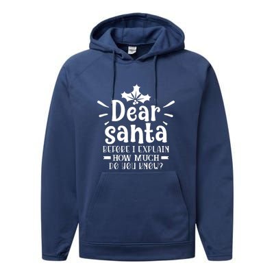 Dear Santa Before I Explain Performance Fleece Hoodie