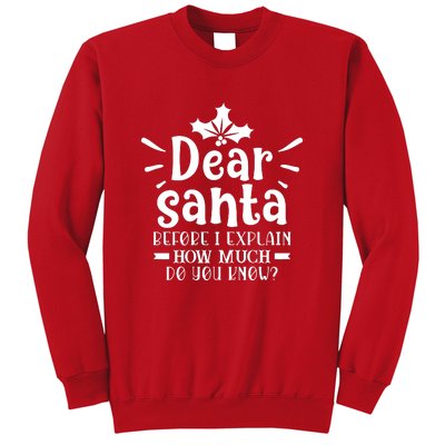 Dear Santa Before I Explain Sweatshirt