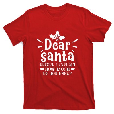 Dear Santa Before I Explain T-Shirt