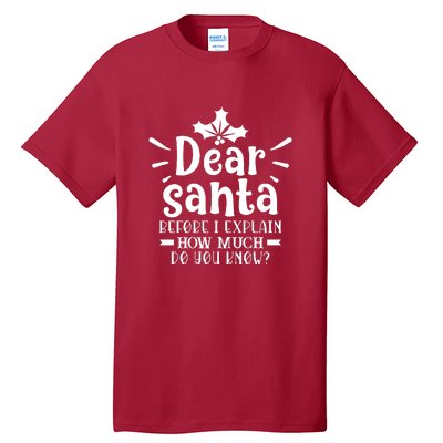 Dear Santa Before I Explain Tall T-Shirt