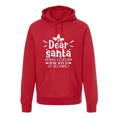 Dear Santa Before I Explain Premium Hoodie