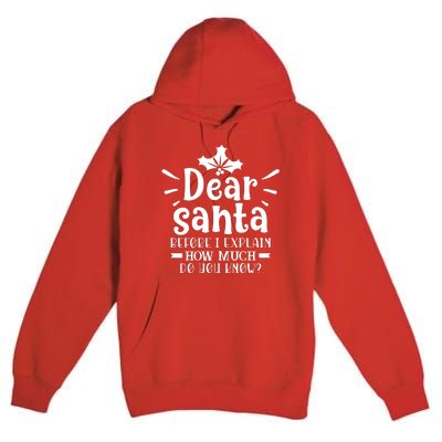 Dear Santa Before I Explain Premium Pullover Hoodie