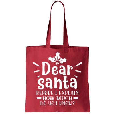 Dear Santa Before I Explain Tote Bag